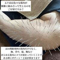 画像1572