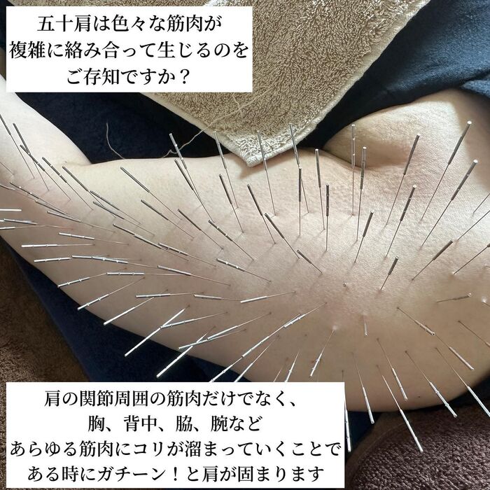 画像1572