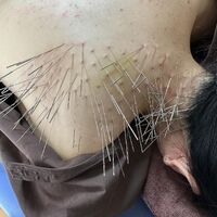 画像2137